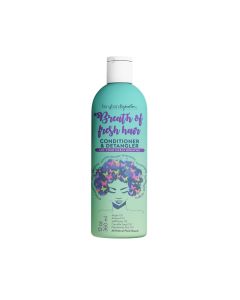 Urban Hydration Breath of Fresh Hair Conditioner & Detangler 12 fl oz