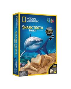 National Geographic Shark Tooth Dig Kit - N/a