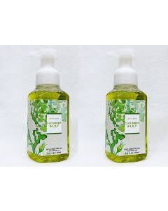 Bath & Body Works Gentle Foaming Hand Soap in Cucumber Lily (2 Pack)