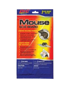 Glue Mouse Boards, 2 pk"