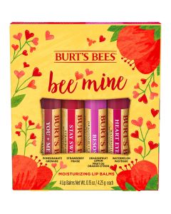 Burt's Bees Bee Mine Lip Balm Gift Set, 4 Personalized Lip Balms"