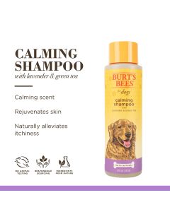 Burt's Bees Natural Calming Dog Shampoo with Lavender and Green Tea, 16 fl oz"