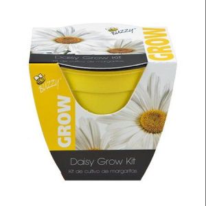 Daisy Grow Kit, 4" Plastic Pot, Buzzy, 95531