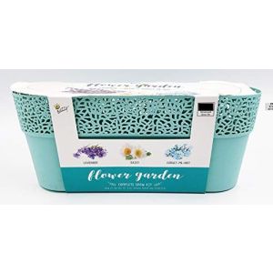 Flower Garden Lavender Daisy Forget Me Not Complete Grow Kit