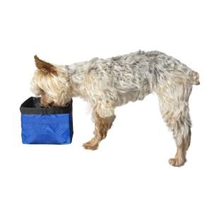 Premier Pet Travel Bowl - Collapsible Dog Bowl with 50 oz. Capacity