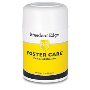 Breeder's Edge Foster Care Feline - Powdered Milk Replacer - for Kittens & Cats - 12oz