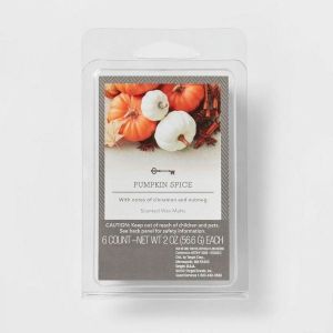 Threshold Pumpkin Spice Wax Melts