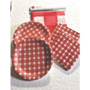 Party Pack Set Tablecloth Napkins Paper Plates Red & White Check Any Occasion