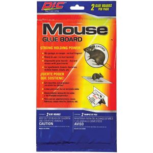 Glue Mouse Boards, 2 pk"