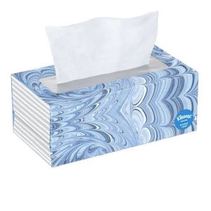 Kleenex Trusted Care Facial Tissues, 1 Flat Box, 144 White Tissues per Box, 2-Ply (144 Total)"