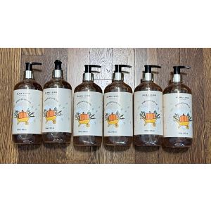 6x Alma Lusa Portugal Pumpkin Spice Liquid Soap 17fl. Oz