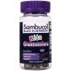 Sambucol Black Elderberry Kids Immune Support Gummies with Vitamin C and Zinc - 30 Count - 4fa1fc14-ceed-4fac-b479-4e5001247425_1.80e5156c43a031c5ac351db699cc8cda.jpg