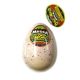 Ja-Ru Dino World Megga Grow Egg Blind Assortment - 50862888-1.jpg