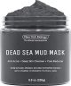 New York Biology Dead Sea Mud Mask, Skin Care Facial Mask for Acne, 8.8 oz