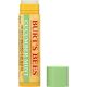 Burt's Bees 100% Natural Moisturizing Lip Balm, Cucumber Mint, 1 Count