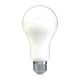 GE A19 E26 (Medium) LED Bulb Soft White 100 Watt Equivalence 2 pk - c4343b11-761a-4086-92be-e9aad484dd05.8fa525b277bbc3359cbd5aed6bf4ce7f.jpg