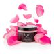 TGIN Curls N' Roses- Rose Water Hydrating Hair Mask 12oz - d4e57d98-b733-4c34-aa07-d915b971e598.ad1e0093d15d811c67a43f0b65431b51.jpg