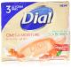 Dial Skin Care Bar Soap, Silk & Seaberry, 4 Ounce, 3 Bars