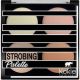 Kokie Professional Strobing Palette, Get The Glow